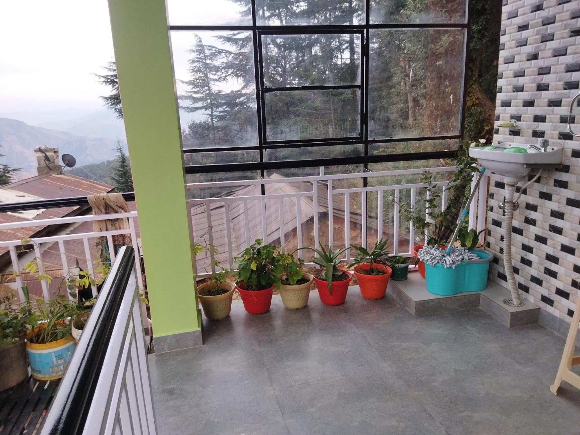 Tree Valley Homestay Chail Exteriör bild