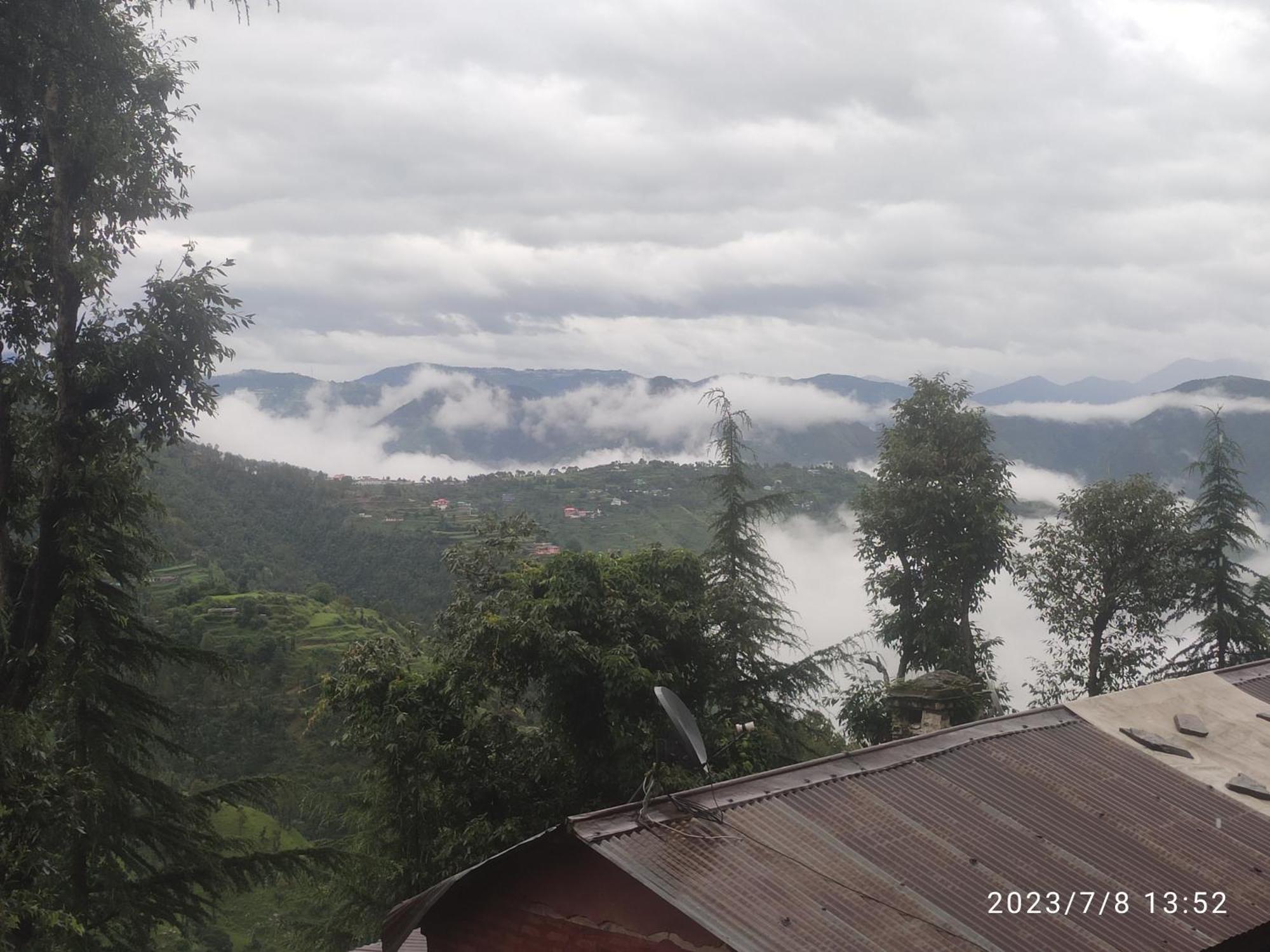 Tree Valley Homestay Chail Exteriör bild