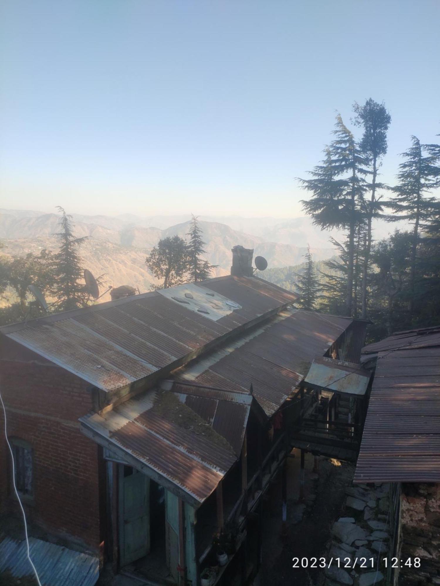 Tree Valley Homestay Chail Exteriör bild