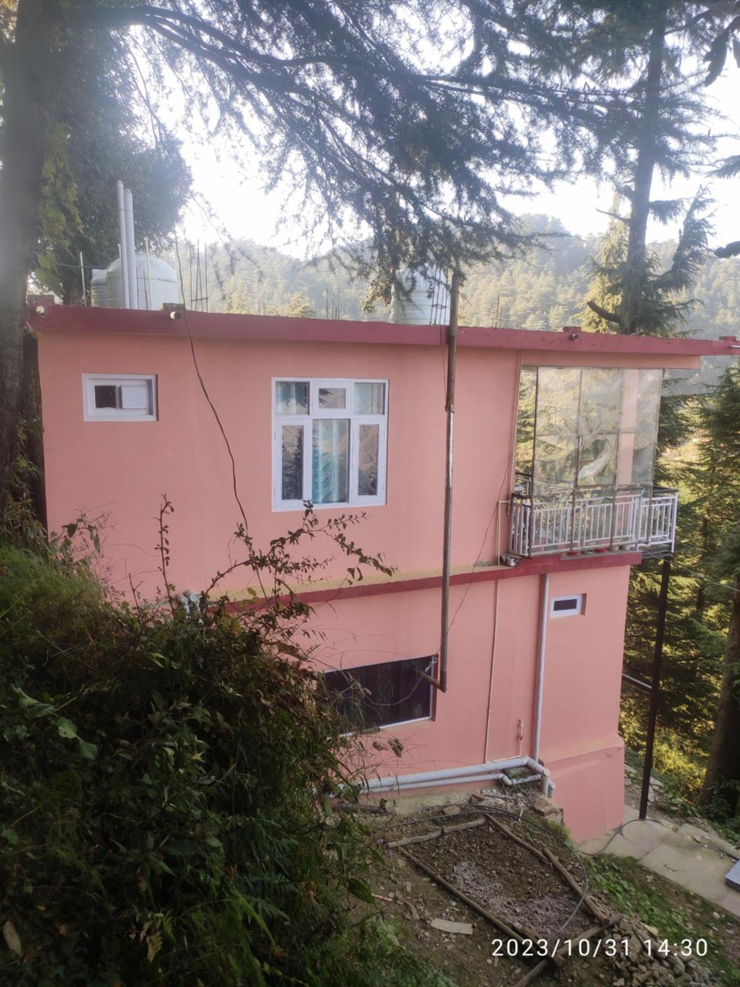 Tree Valley Homestay Chail Exteriör bild