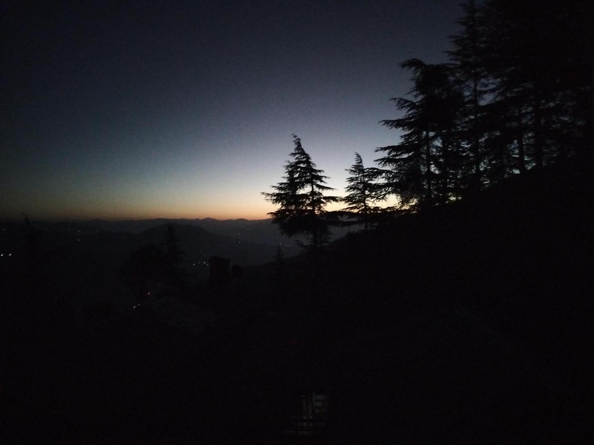Tree Valley Homestay Chail Exteriör bild