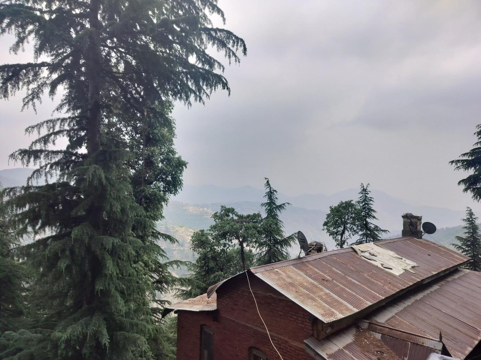 Tree Valley Homestay Chail Exteriör bild