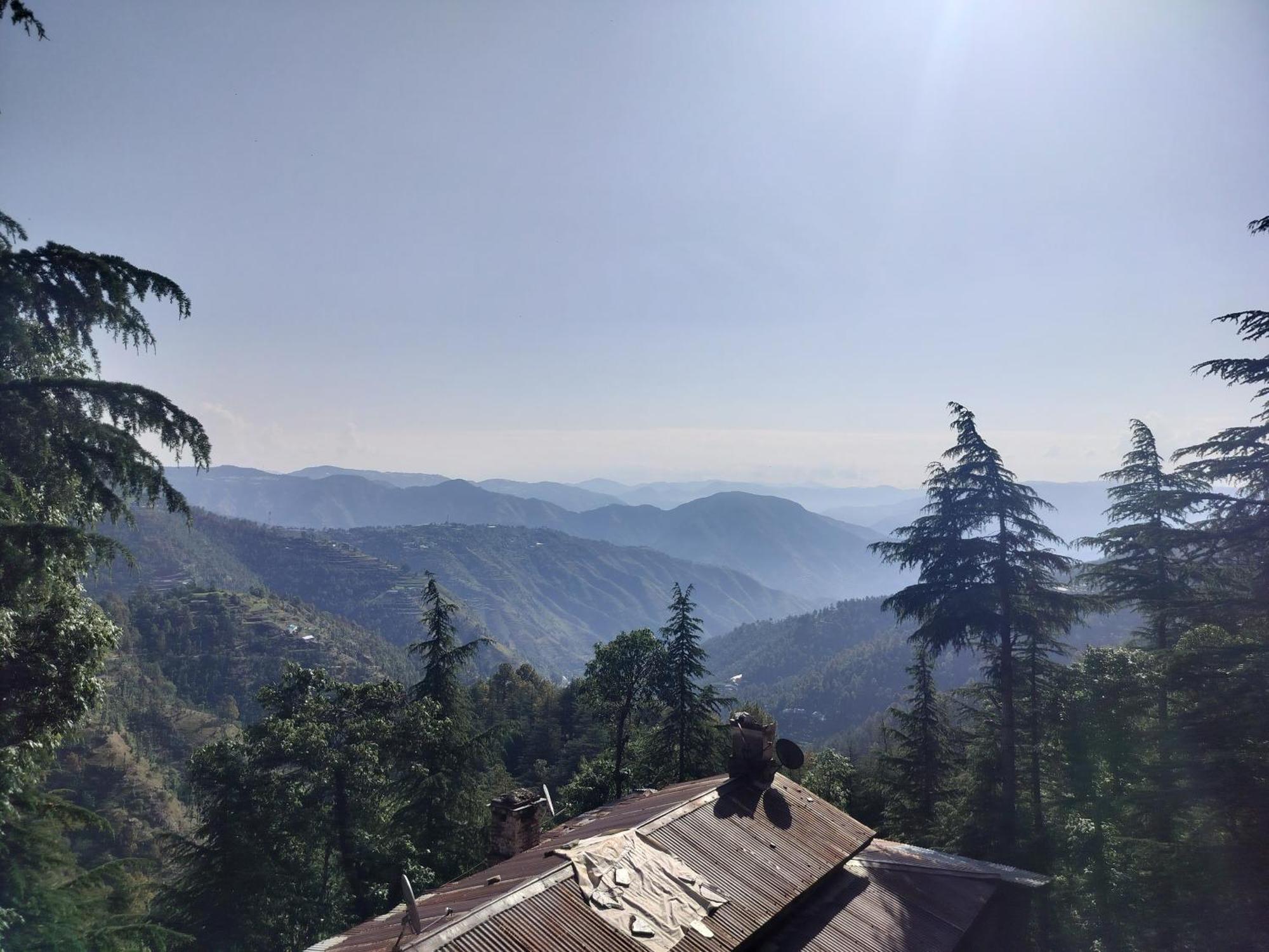 Tree Valley Homestay Chail Exteriör bild