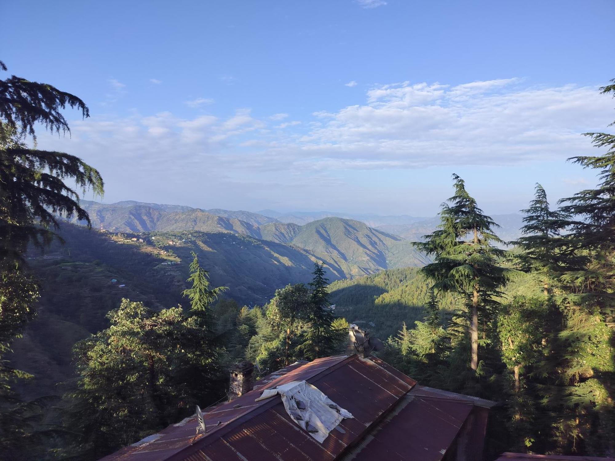 Tree Valley Homestay Chail Exteriör bild