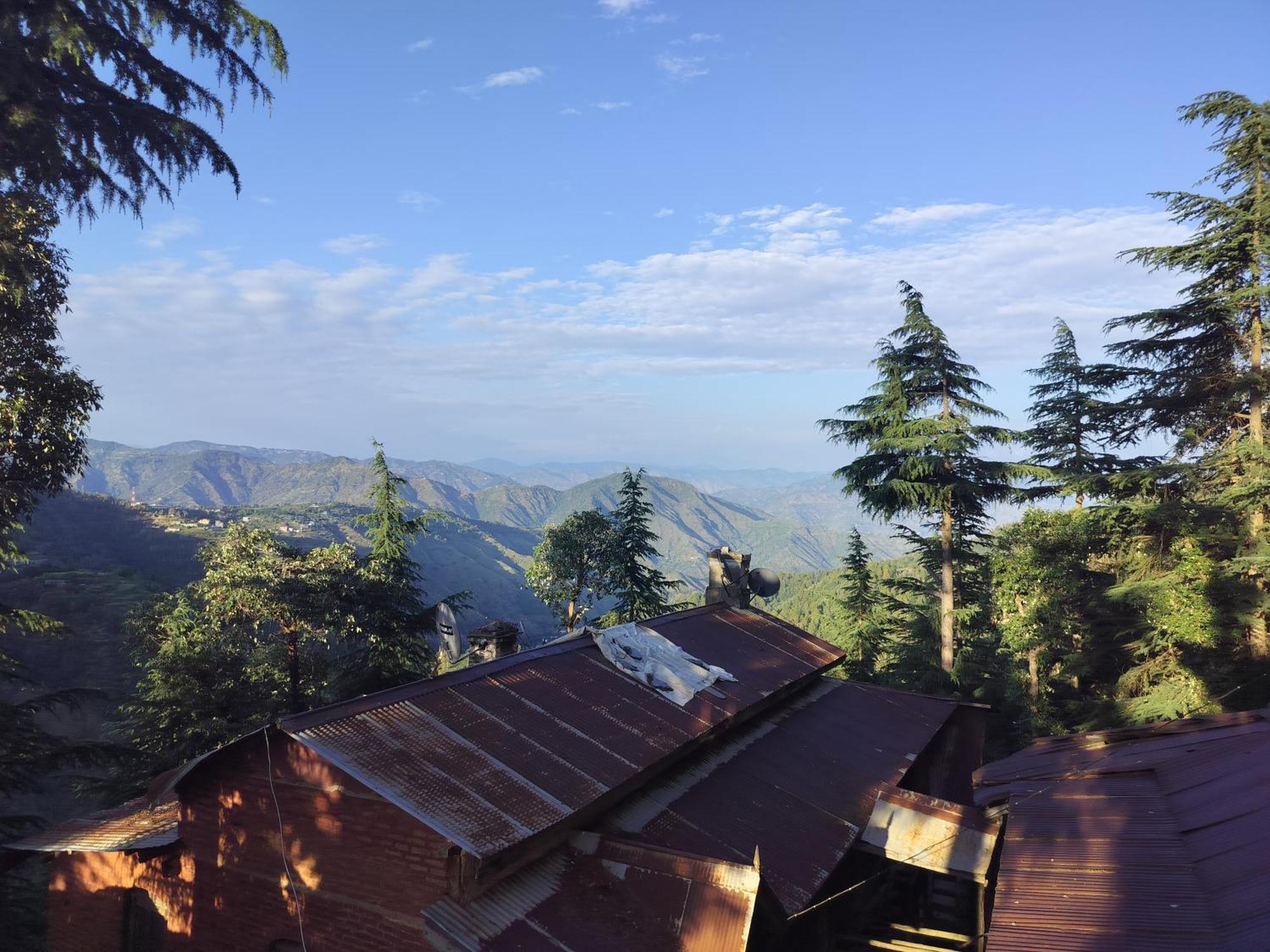 Tree Valley Homestay Chail Exteriör bild